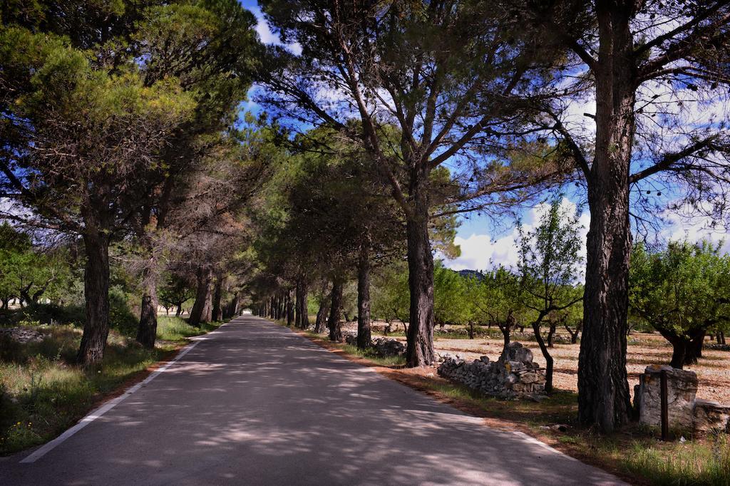 Complejo Rural La Glorieta Daire Catí Dış mekan fotoğraf