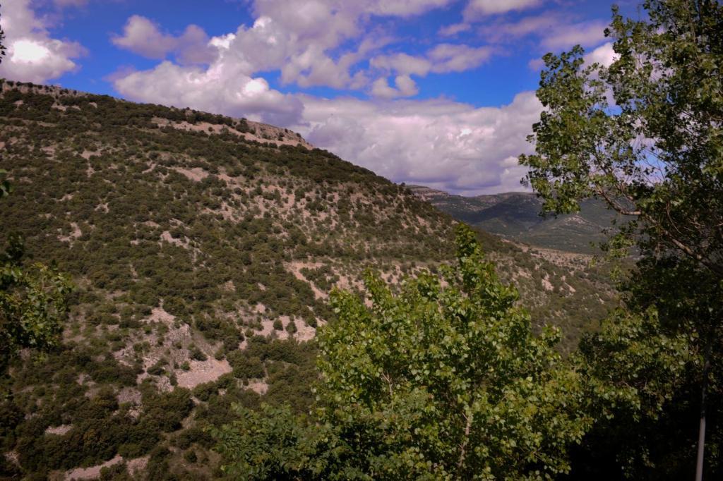 Complejo Rural La Glorieta Daire Catí Oda fotoğraf